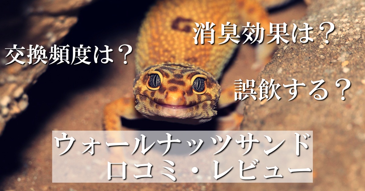ウォールナッツサンド（ビバリア）の気になる口コミ・レビューを調査。効果や交換頻度なども解説！