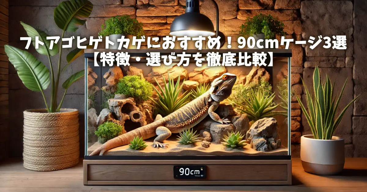 フトアゴヒゲトカゲにおすすめ！90cmケージ3選【特徴・選び方を徹底 