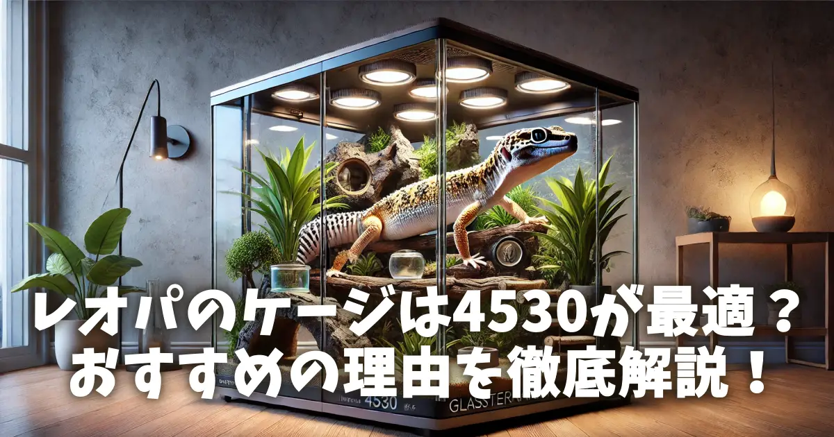 レオパのケージは4530が最適？おすすめの理由を徹底解説！ |
