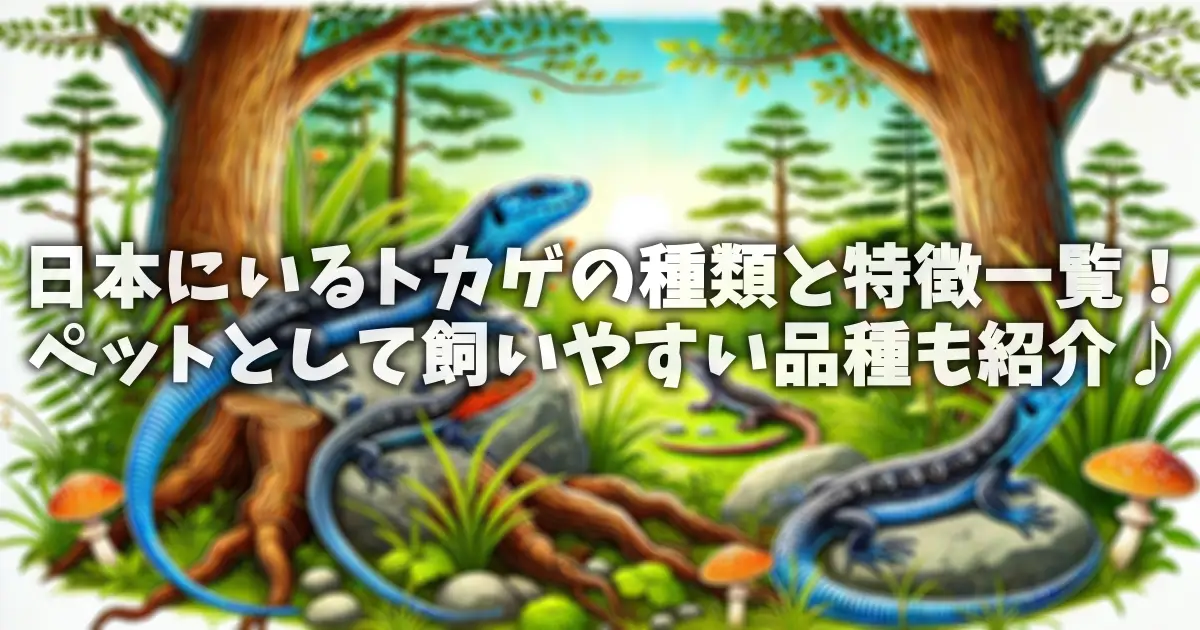 日本にいるトカゲの種類と特徴一覧!ペットとして飼いやすい品種も紹介♪